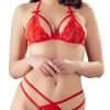 Cottelli Lingerie Soft-BH Plus String Ouvert Aus Blütenspitze